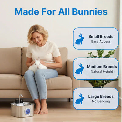 Binky Fountain Wireless