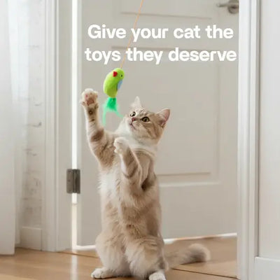Solve Your Cat's Boredom in Seconds