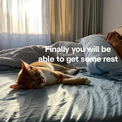 Solve Your Cat's Boredom in Seconds