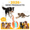 End Pet Boredom for Good! ✨ Let the New LETILI™ Ball Spark Quality Time & Shared Joy 🐶&🐱