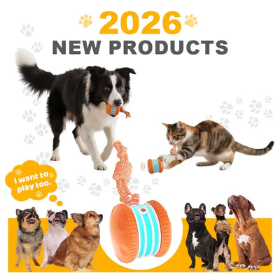 End Pet Boredom for Good! ✨ Let the New LETILI™ Ball Spark Quality Time & Shared Joy 🐶&🐱