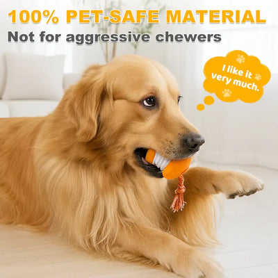 End Pet Boredom for Good! ✨ Let the New LETILI™ Ball Spark Quality Time & Shared Joy 🐶&🐱