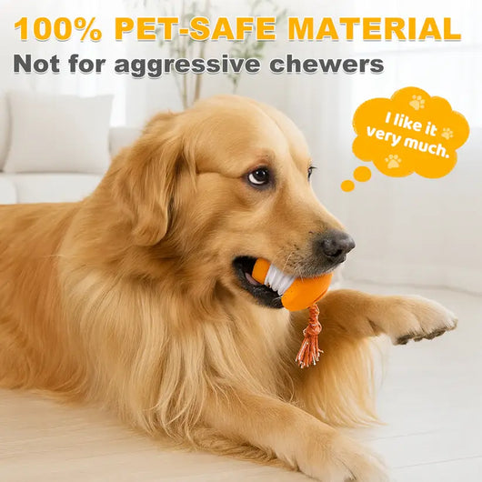 End Pet Boredom for Good! ✨ Let the New LETILI™ Ball Spark Quality Time & Shared Joy 🐶&🐱