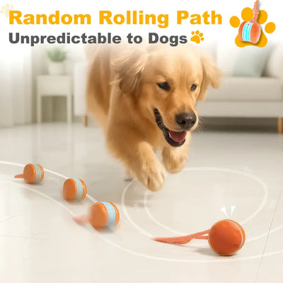 End Pet Boredom for Good! ✨ Let the New LETILI™ Ball Spark Quality Time & Shared Joy 🐶&🐱