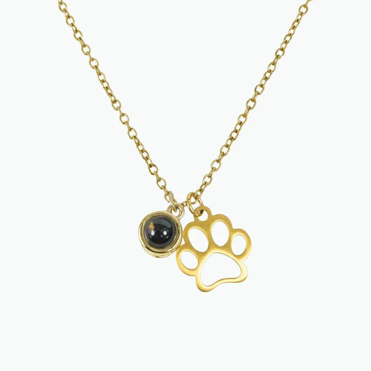 Letili Photo Projection Pet Necklace